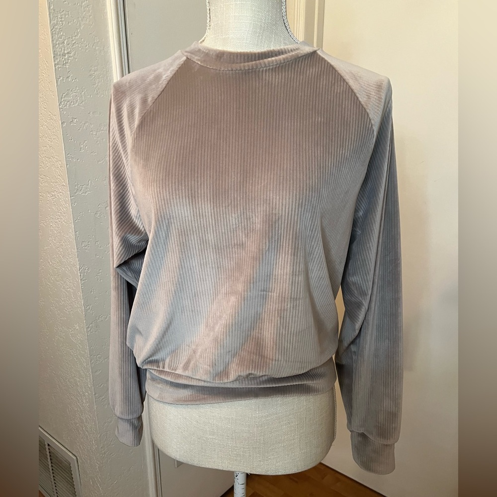 Victoria's Secret Taupe Velvet Sweatshirt